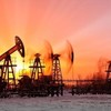 Goldman Sachs: Giá dầu có thể hướng tới 100 USD/thùng trước quý III trong bối cảnh Trung Quốc mở cửa trở lại