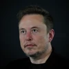 Nhiều chuyên gia phản đối dự đoán của Elon Musk về AI