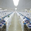 Vĩnh Hoàn (VHC) ghi nhận doanh thu tháng 2/2024 tăng 6%, lên 801 tỷ đồng