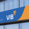 VIB: Doanh thu tăng 8%, lợi nhuận quý 1 đạt hơn 2.500 tỷ đồng