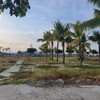 Nhiều khu vực tại Khu đô thị FPT (quận Ngũ Hành Sơn, Đà Nẵng) vẫn chưa đầu tư công viên. Ảnh: P.V