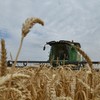 EU kêu gọi đưa ra các mức thuế bổ sung đối với việc nhập khẩu một số loại sản phẩm nông nghiệp từ Liên bang Nga và Belarus vào các nước châu Âu, cụ thể là ngũ cốc, hạt có dầu và các sản phẩm chế biến từ chúng. (Ảnh: AFP/TTXVN)