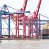 Hoạt động xuất nhập khẩu hàng hóa tại cảng Cát Lái (TP.HCM) Ảnh: Lê Quân