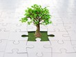 Sự kiện chứng khoán đáng chú ý ngày 20/3