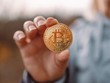 Chainalysis: Trong năm 2023, nhà đầu tư Việt Nam đã kiếm được gần 1,2 tỷ USD từ thị trường tiền điện tử