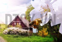 Sự kiện chứng khoán đáng chú ý ngày 19/2