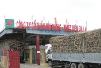 Cổ phiếu SEC sẽ hủy niêm yết trên HOSE từ 29/9