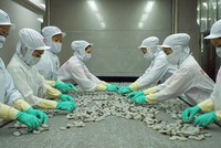 Công ty mẹ MPC lãi ròng quý II gấp 7 lần cùng kỳ