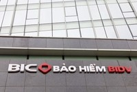 Ảnh Internet