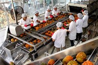Năm 2017, Chiếu xạ An Phú (APC) lãi ròng gấp đôi kế hoạch