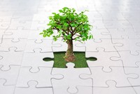 Nhận định thị trường phiên giao dịch chứng khoán ngày 8/11: Chưa nên bắt đáy, không dùng margin