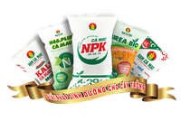 Phân bón Cà Mau (PVCFC) ước lợi nhuận năm hơn 657 tỷ đồng, vượt 29% kế hoạch
