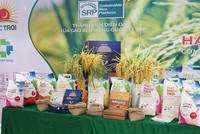 Lộc Trời chậm chuyển sàn vì khó khăn trong kinh doanh