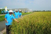 Lộc Trời (LTG) loay hoay tái cấu trúc