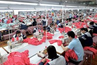 May Sông Hồng (MSH): Chứng khoán FPT muốn chốt lời gần 900.000 cổ phiếu