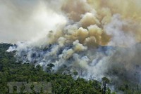 Khói bốc lên từ đám cháy rừng Amazon, Brazil. (Ảnh: AFP/TTXVN)