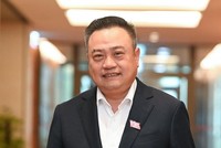 Chủ tịch UBND TP Hà Nội Trần Sỹ Thanh.