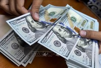 Đồng USD. Ảnh minh họa: AFP/TTXVN