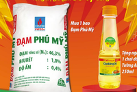 PVFCCo tổ chức chương trình "Đạm Phú Mỹ - Đồng hành sẻ chia"