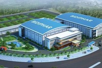Bidiphar (DBD) tạm ứng cổ tức năm 2020 với tỷ lệ 15%