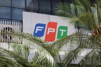 FPT: Lãnh đạo sắp nhận thêm 1,29 triệu ESOP với giá 10.000 đồng