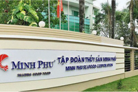 Thủy sản Minh Phú (MPC): 6 tháng đầu năm gia tăng tồn kho và khoản phải thu dẫn tới dòng tiền âm thêm 513,78 tỷ đồng