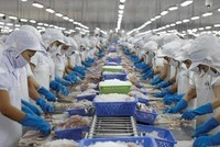 9 tháng đầu năm 2022, Vĩnh Hoàn (VHC) tạm lỗ hơn 41% danh mục đầu tư chứng khoán