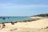 Phú Yên giao đất cho dự án Khu nghỉ dưỡng sinh thái Bãi Bàng