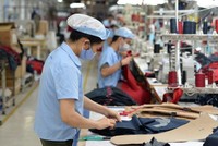 Vinatex: Lợi nhuận 9 tháng đạt 946 tỷ đồng, vượt 35% kế hoạch năm