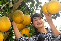 Phát triển sản phẩm OCOP gắn với xây dựng nông thôn mới, đặc biệt là phát triển mô hình du lịch cộng đồng ở nông thôn.