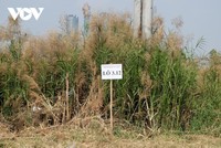 Tập đoàn Tân Hoàng Minh đã gửi văn bản tới UBND TP.HCM xin bỏ cọc lô đất Thủ Thiêm trúng đấu giá 2,4 tỷ đồng/m2 (Ảnh: Duy Phương)