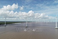 Một Dự án điện gió bên bờ biển tỉnh Bạc Liêu. Ảnh minh họa: Chanh Đa/TTXVN
