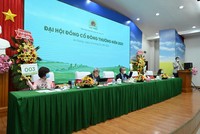 ĐHCĐ Lộc Trời (LTG): Đặt mục tiêu tăng trưởng kép