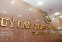 Ủy ban Chứng khoán Nhà nước: ROS tăng vốn khống trước khi niêm yết