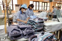 Quý I/2022, Gilimex (GIL) lãi sau thuế 107,1 tỷ đồng, tăng 51%