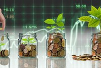 Phát triển bền vững, con đường của doanh nghiệp Việt