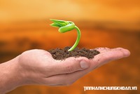Xung lực chính sách mới