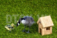 Trong ấm, ngoài mới êm!