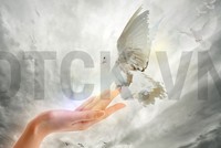 Nhận định thị trường phiên 4/9: Thực hiện kê lệnh ở các vùng giá thấp