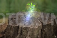 Truyền thông khó đo lường được tác động trước mắt, nhưng có ý nghĩa lâu dài với từng doanh nghiệp và cả ngành bảo hiểm