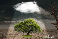 Sự kiện chứng khoán đáng chú ý ngày 17/1