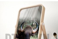 Hội đồng quản trị không thống nhất, ai là người đứng ra triệu tập ĐHCĐ?