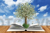 Sự kiện chứng khoán đáng chú ý ngày 24/11