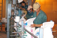 DPM lãi ròng quý III gần 410 tỷ đồng, tăng 42% cùng kỳ