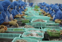 Chứng khoán BSC khuyến nghị 3 cổ phiếu thủy sản hưởng lợi khi Trung Quốc mở cửa