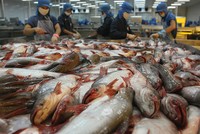 Việt Nam trở thành “kẻ chiến thắng” tại châu Á
