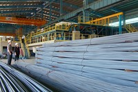 Thép Tiến Lên ước đạt hơn 30 tỷ lợi nhuận