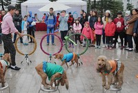 “Chợ chung cư” nơi lưng chừng giời