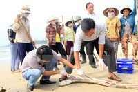 Sự cố môi trường gây thiệt hại nặng nề cho người dân 4 tỉnh miền Trung.