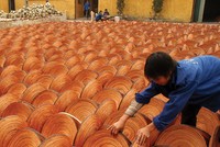 Chỉ trong một thập niên, khu vực tư nhân trong nước đã tạo ra gần 60% tổng số việc làm tính đến năm 2011